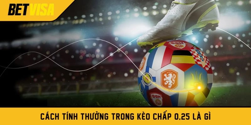 Cách tính tiền thưởng trong kèo chấp -0,25 là gì