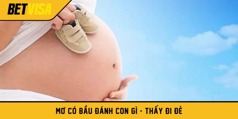 Mơ có bầu đánh con gì - Thấy đi đẻ