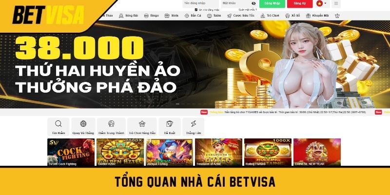 Tổng quan nhà cái Betvisa